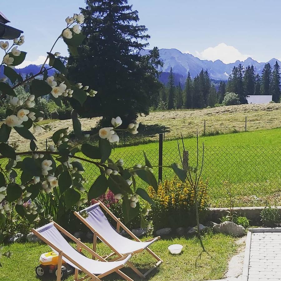 Domki Skupniowy Uplaz Murzasichle Esterno foto