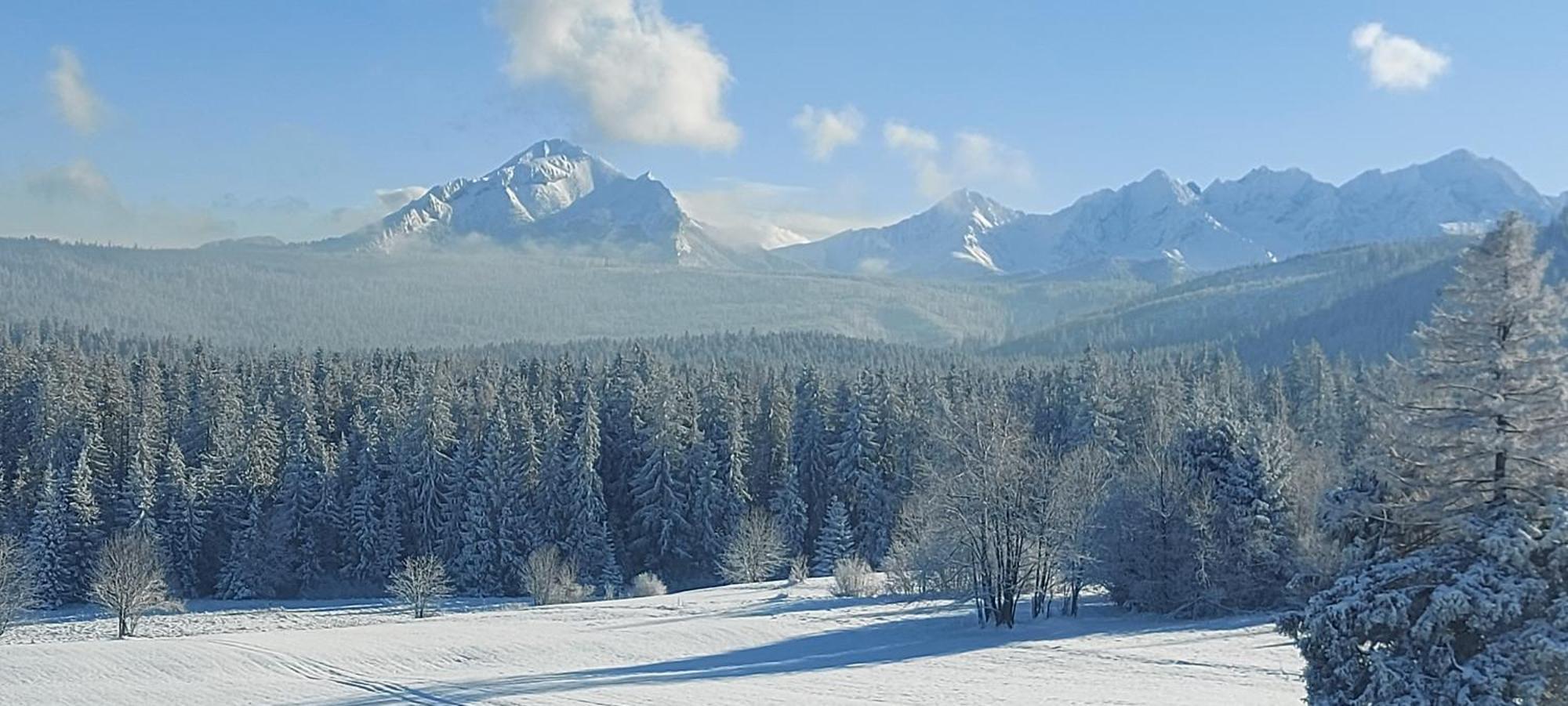 Domki Skupniowy Uplaz Murzasichle Esterno foto